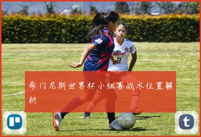 希门尼斯世界杯小组赛战术位置解析