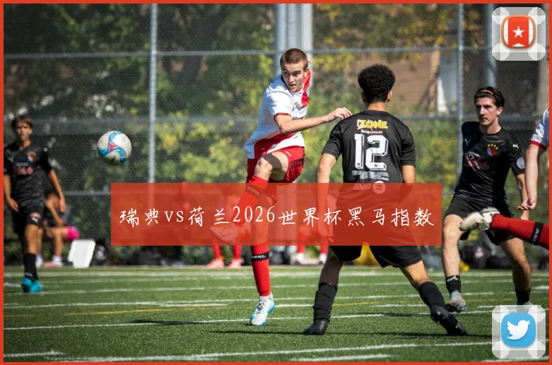 瑞典vs荷兰2026世界杯黑马指数