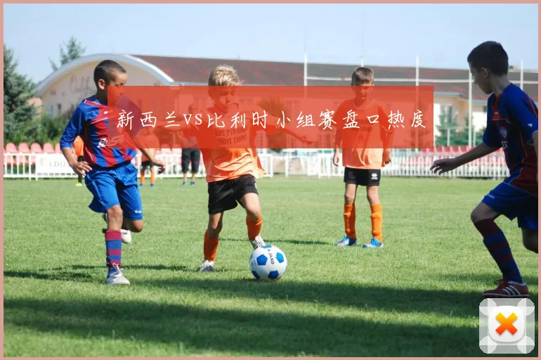 新西兰vs比利时小组赛盘口热度