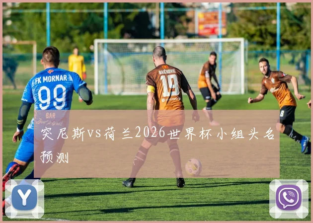 突尼斯vs荷兰2026世界杯小组头名预测
