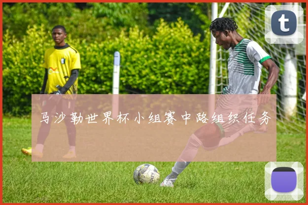 马沙勒世界杯小组赛中路组织任务
