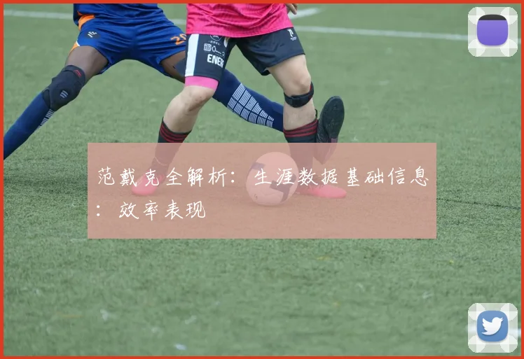 范戴克全解析：生涯数据基础信息：效率表现
