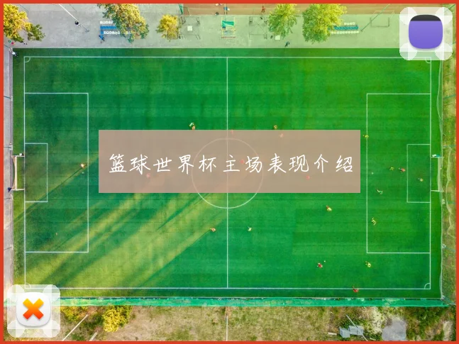 篮球世界杯主场表现介绍